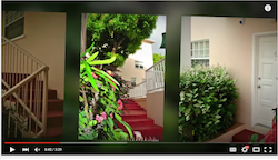 apartments for rent st. lucia video