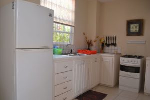 apt#7_kitchen_fridge