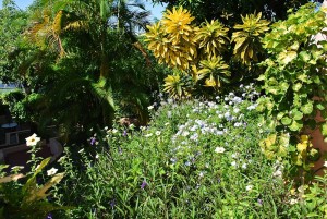 flowergardensbyvilla7