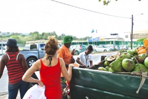 a-nicolas-coconutman-airport