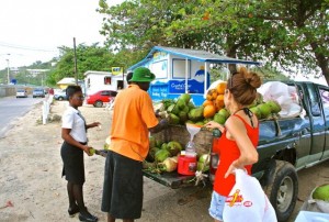 a-nicolas-coconutman-shakes