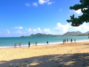 cricket-on-vigiebeach-near-poinsettia